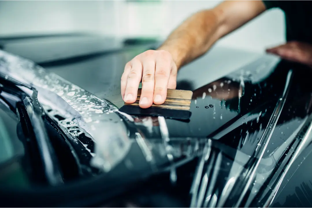 paint protection film